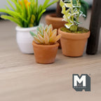 1:12 scale miniature succulent plant in a terracotta pot, yellow green leaves with pink tips, shown beside other potted plants
