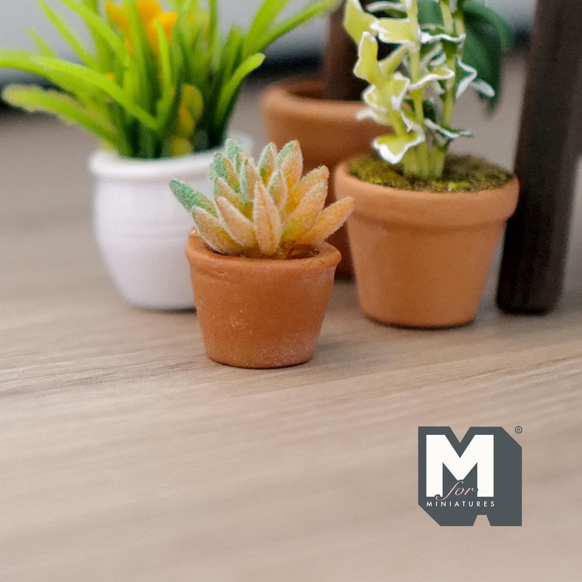 1:12 Scale Miniature Succulent Plant in Terracotta Pot, 7/8 inch tall, DIY Dollhouse Supply (yellow green)