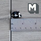 Miniature Black & White Kittens Playing 1:12 Scale Dollhouse Supplies Playing Cats 13/16 inch long (resin) - C048