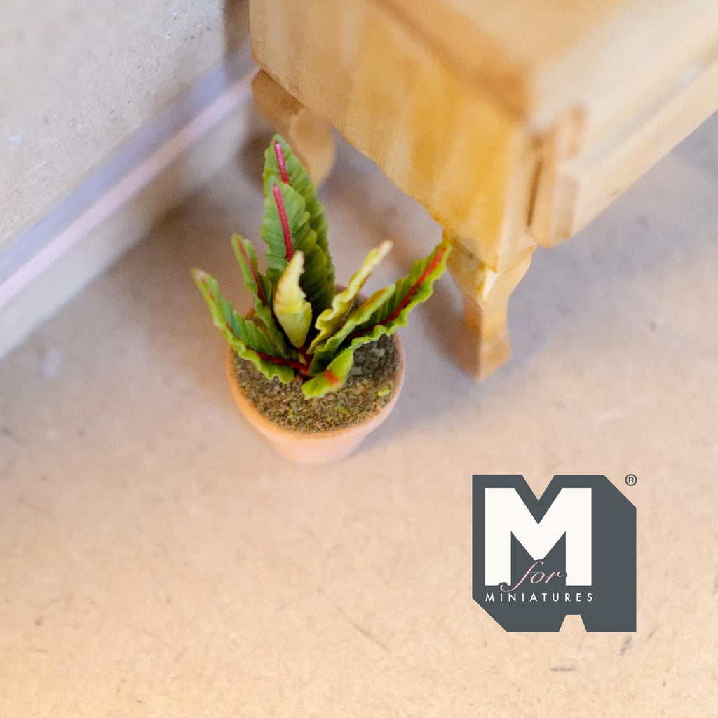 1:12 Scale Miniature Potted Succulent in Terracotta Pot, Spiky Yellow Edged Leaves, 1-3/4 inch tall, DIY Dollhouse Supply