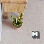 1:12 Scale Miniature Potted Succulent in Terracotta Pot, Spiky Yellow Edged Leaves, 1-3/4 inch tall, DIY Dollhouse Supply