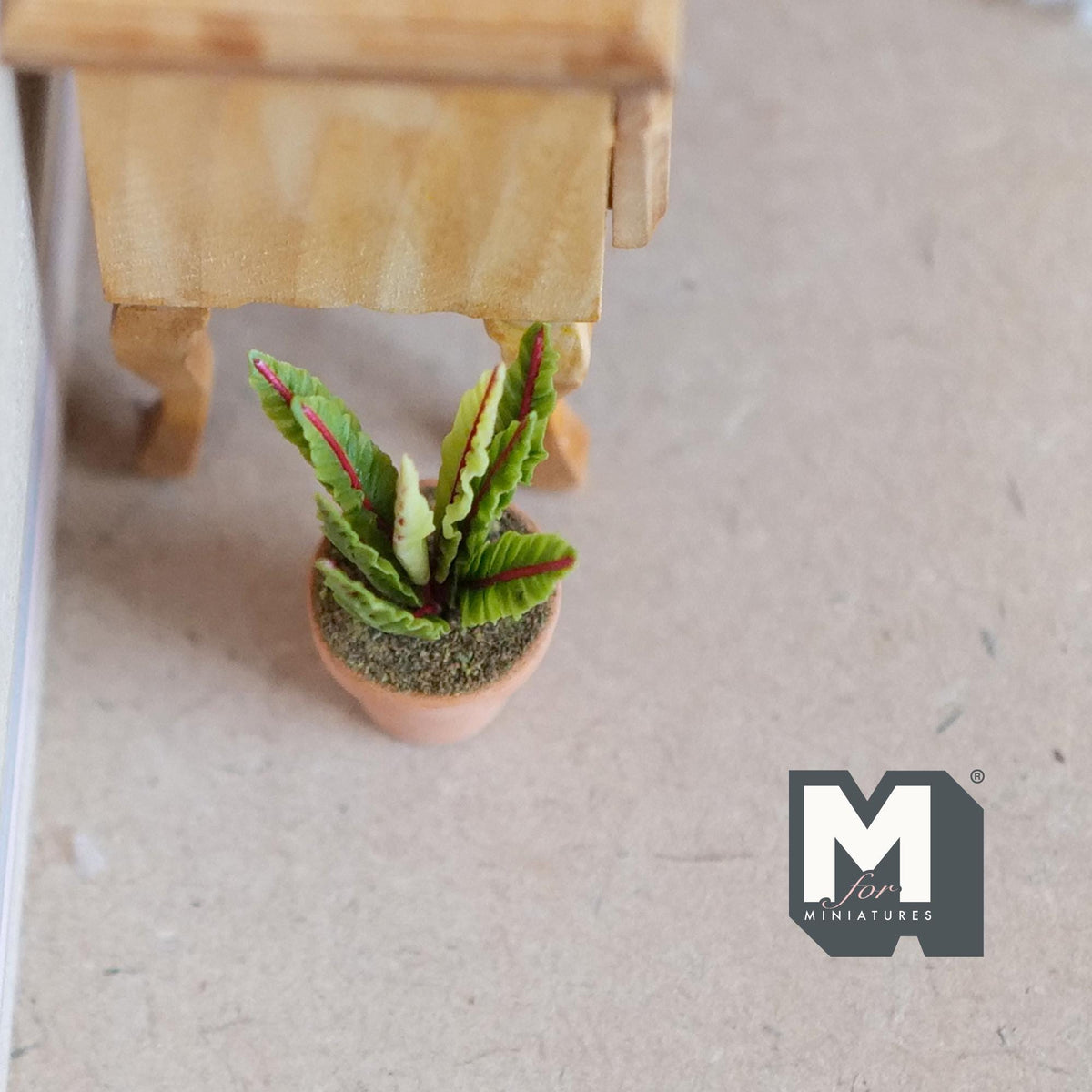 1:12 Scale Miniature Potted Succulent in Terracotta Pot, Spiky Yellow Edged Leaves, 1-3/4 inch tall, DIY Dollhouse Supply