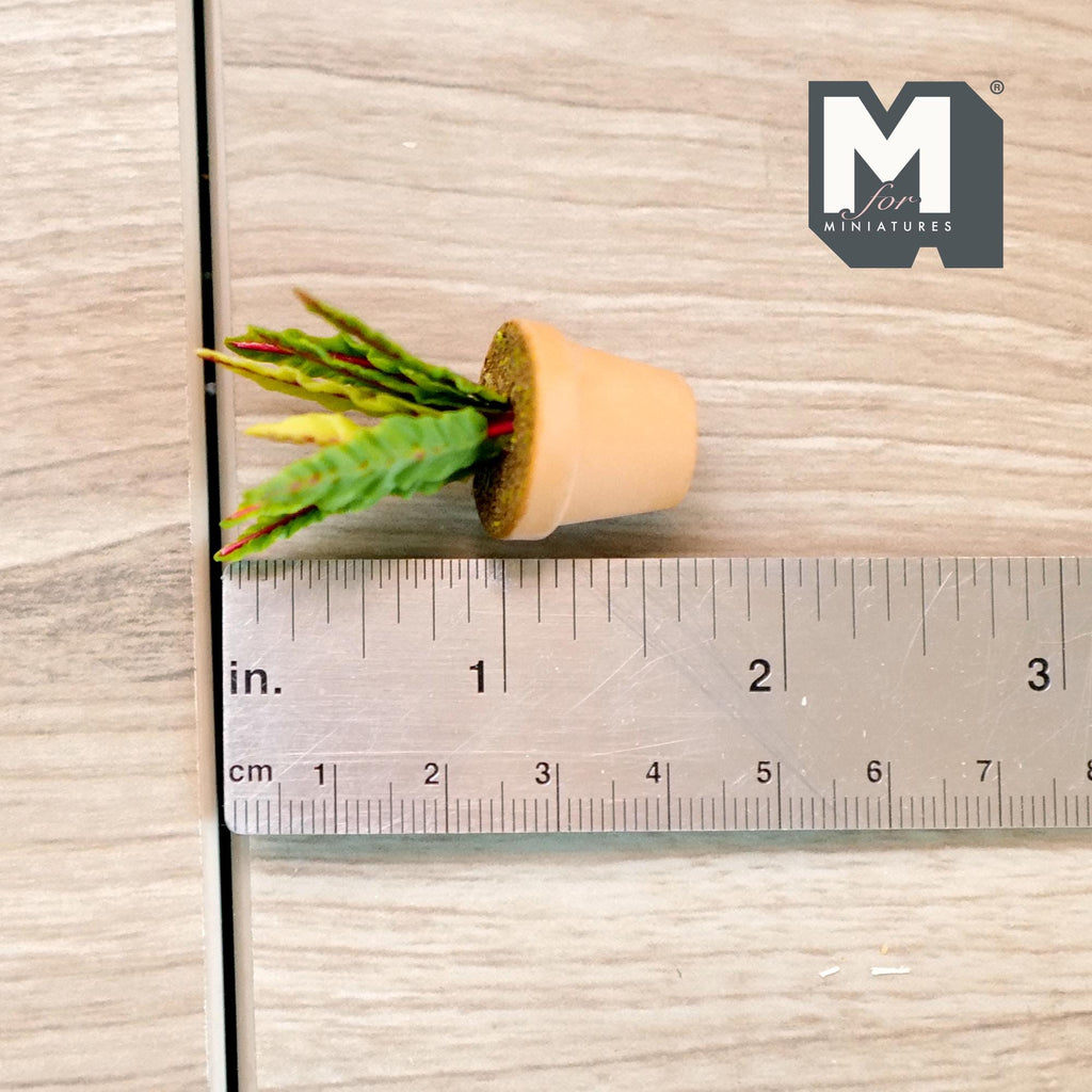 1:12 Scale Miniature Potted Succulent in Terracotta Pot, Spiky Yellow Edged Leaves, 1-3/4 inch tall, DIY Dollhouse Supply