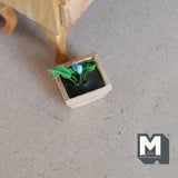 Miniature Flower in Wood Square Pot 1:12 Scale Fairy Garden Flower 1-3/8 inch tall - F089