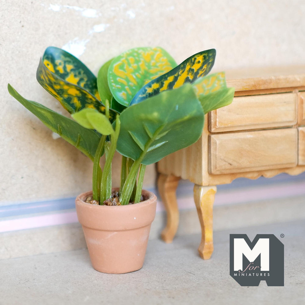 1:12 scale miniature croton plant in terracotta pot with green and yellow speckled leaves, beside a wood dresser