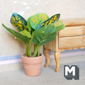1:12 scale miniature croton plant in terracotta pot with green and yellow speckled leaves, beside a wood dresser