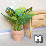 Miniature Croton Plant in Terracotta Pot 1:12 Scale Dollhouse Supplies Houseplant 3-11/16 inch tall - G016