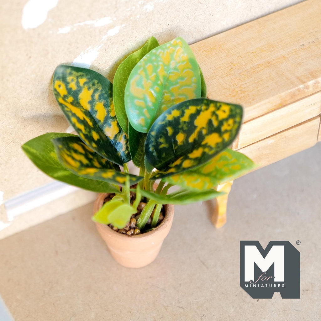 1:12 Scale Miniature Croton Plant in Terracotta Pot, 3-11/16 inch tall, DIY Dollhouse Supply
