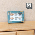 1:12 Scale Miniature Seashell Collection in Wood Frame, 1-9/16 inch wide, DIY Dollhouse Supply (teal)