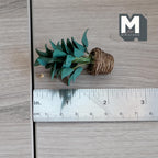 1/12スケール ミニチュア 観葉植物 丸型バスケット入り、高さ約5cm、ドールハウス用DIYパーツ