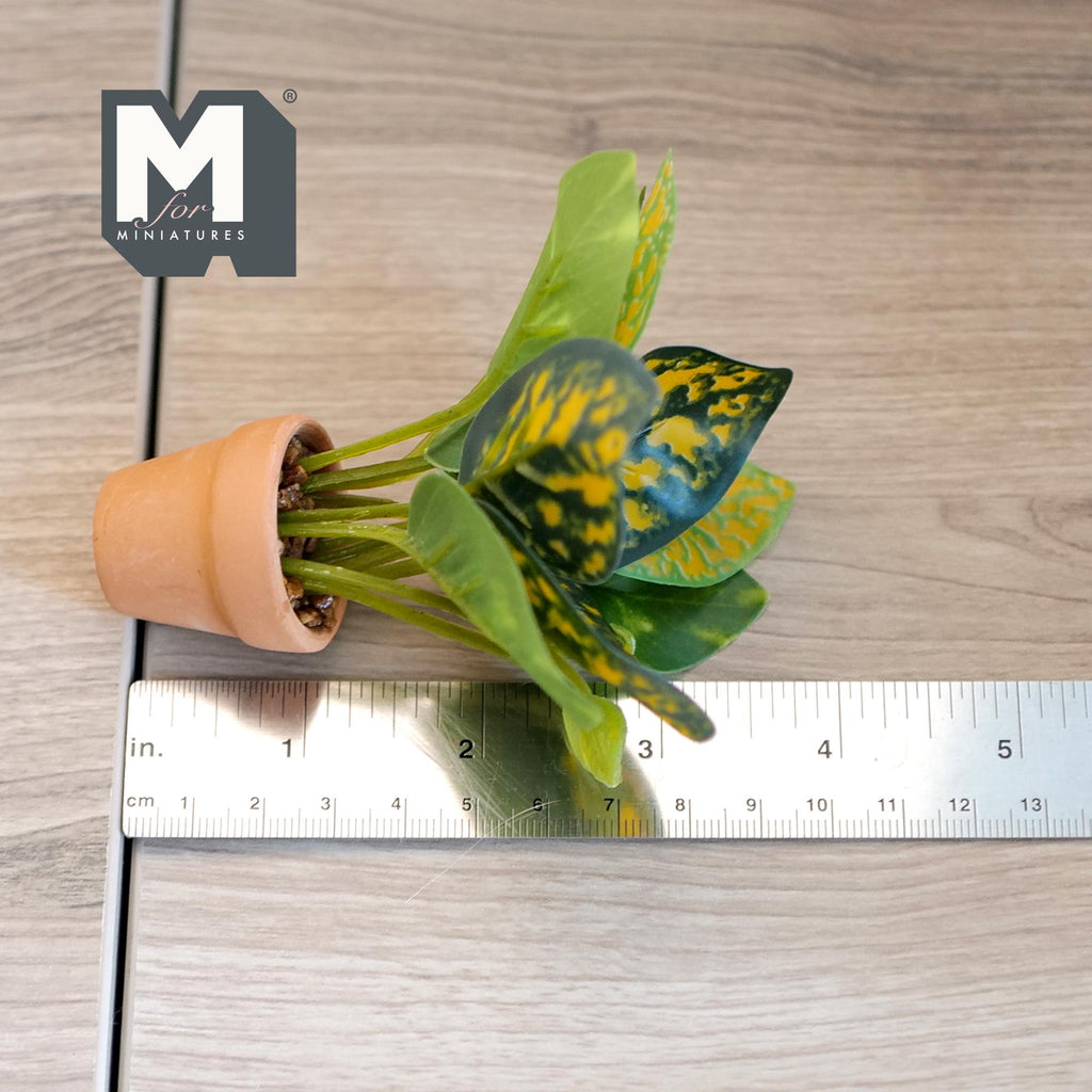 1:12 Scale Miniature Croton Plant in Terracotta Pot, 3-11/16 inch tall, DIY Dollhouse Supply