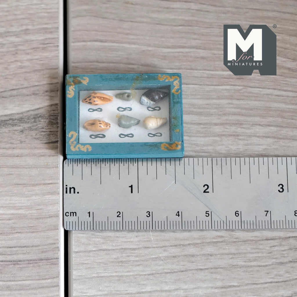 1:12 Scale Miniature Seashell Collection in Wood Frame, 1-9/16 inch wide, DIY Dollhouse Supply (teal)