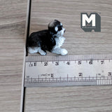 Miniature Laying Spaniel 1:12 Scale Cavalier King Charles Spaniel Figurine 1-11/16 inch long (cast resin) (black and white) -