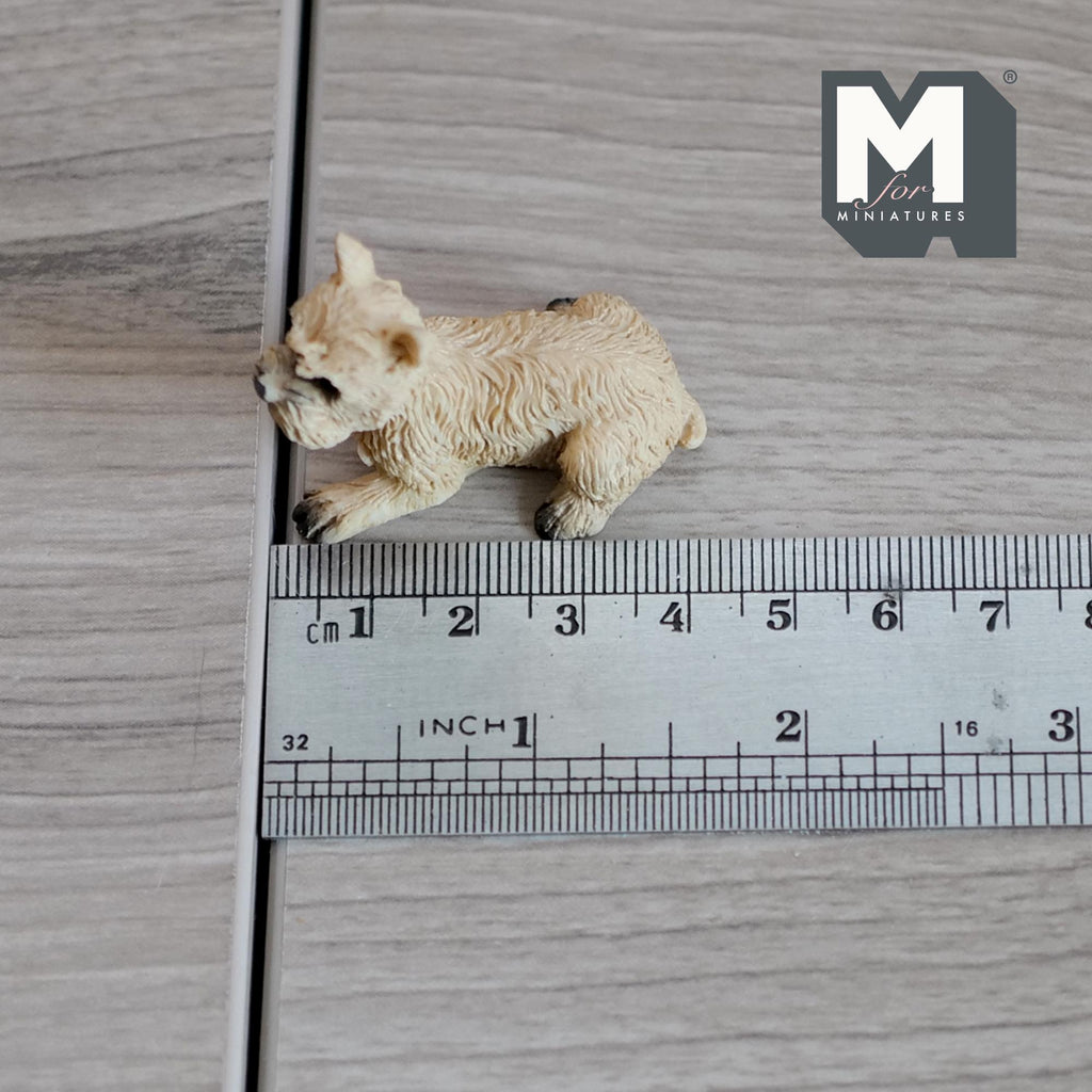 1:12 Scale Miniature Lying Cairn Terrier, 1-5/8 inch long, DIY Dollhouse Supply (cast resin) (beige)