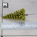 Dollhouse Miniature Pine Tree 4-1/2 inch tall (green) - I039