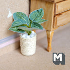 1:12 scale miniature veined leaf plant in a rope wrapped pot with white pebbles, shown on a floor by a wood dresser