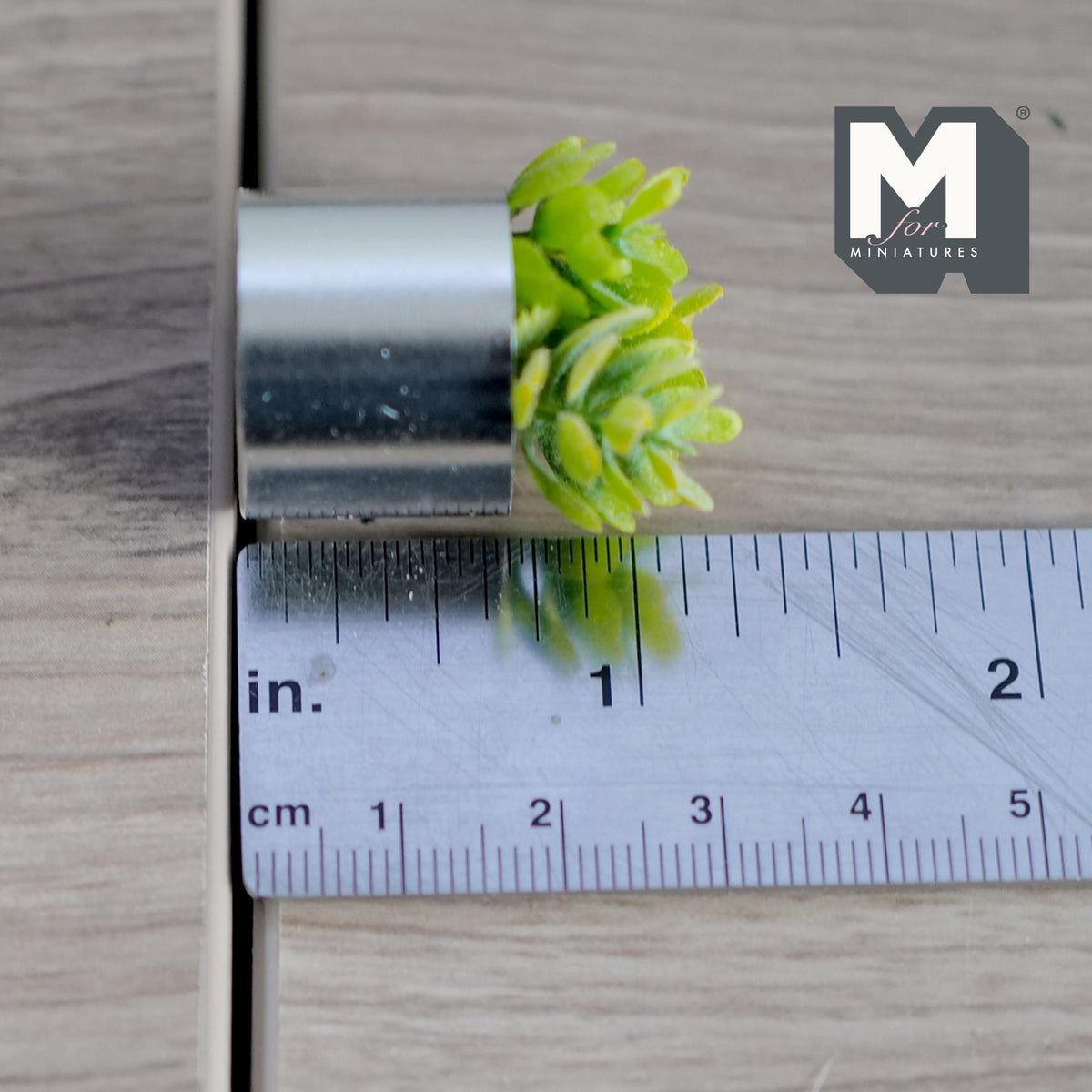 Miniature Potted Succulent 1:12 Scale Dollhouse Greenery Garden Chrome Planter 1-3/8 inch tall - B067