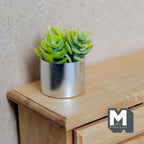 1:12 scale miniature potted succulent in a silver chrome planter, bright green leaves, shown on a wood dresser