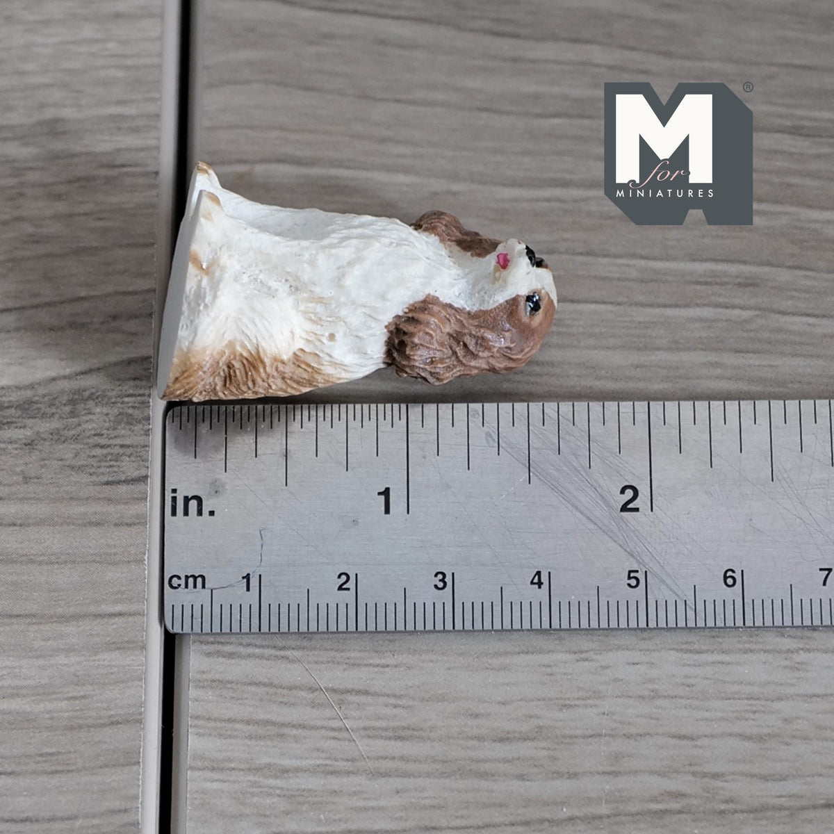 Miniature Sitting Cavalier King Charles Spaniel 1:12 Scale Cavy Dog 1-9/16 inch tall (cast resin) - C062