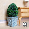 Miniature Oval Boxwood Topiary in Ornate Stone-Finish Planter 1:12 Scale Fairy Garden 3-9/16 inch tall (resin) - I048