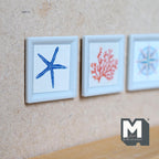 Miniature Coastal Wall Art Set of 3, 1:12 Scale Dollhouse Decor Nautical Frames Starfish Coral and Compass 1-1/4 inch wide - F034