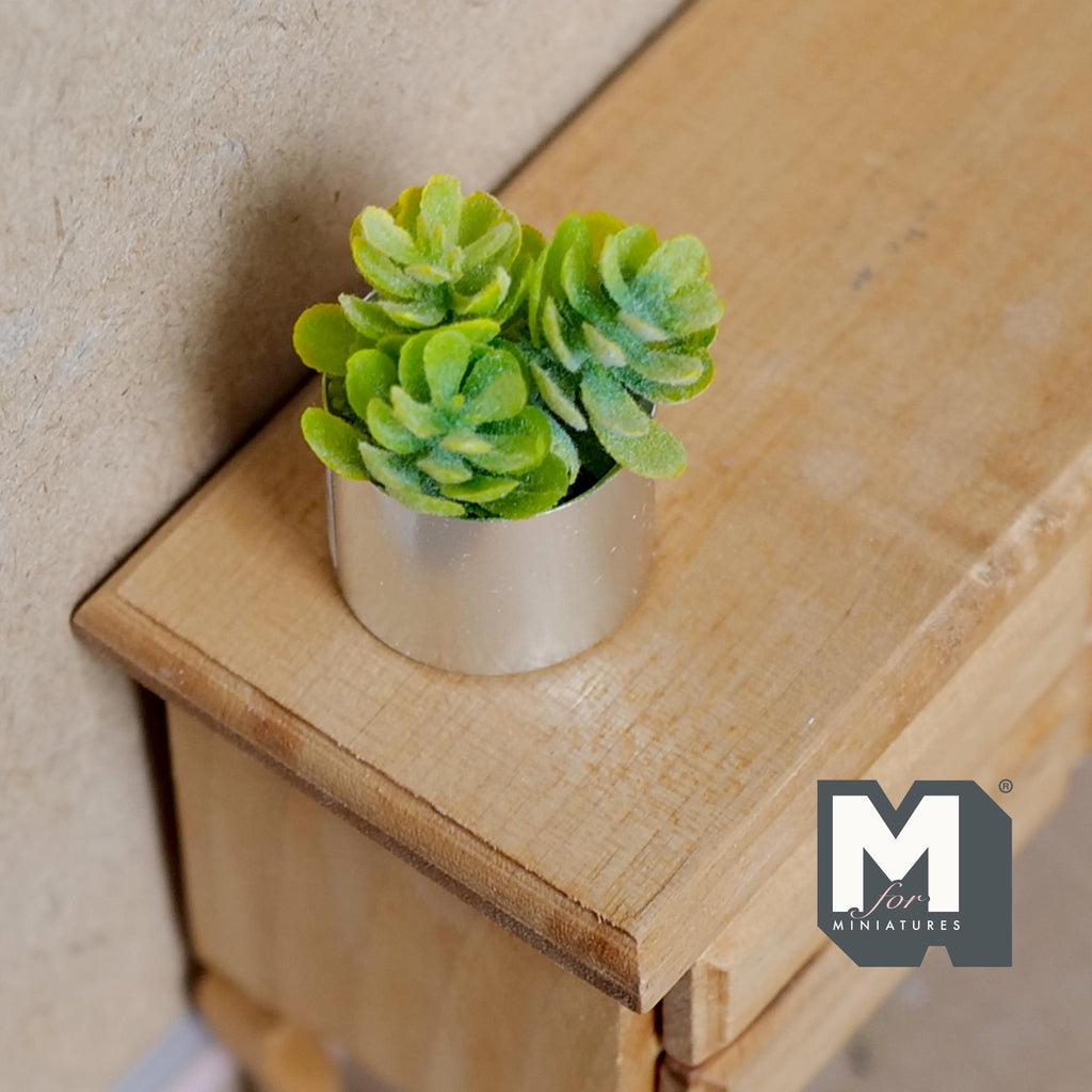 Miniature Potted Succulent 1:12 Scale Dollhouse Greenery Garden Chrome Planter 1-3/8 inch tall - B067