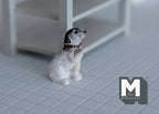 Miniature Jack Russell Terrier Giving Paw 1:12 Scale Dog Shaking Hand 1-5/16 inch tall (resin) - C055