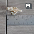 1:12 Scale Miniature T-Rex Skeleton | Dollhouse Dinosaur Toy | Museum Diorama Fossil Prop 1/12 inch tall - B021