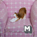 Miniature Stretching Cat , 1:12 Scale Dollhouse Supplies Cat 1-1/2 inch long (brown) - B031