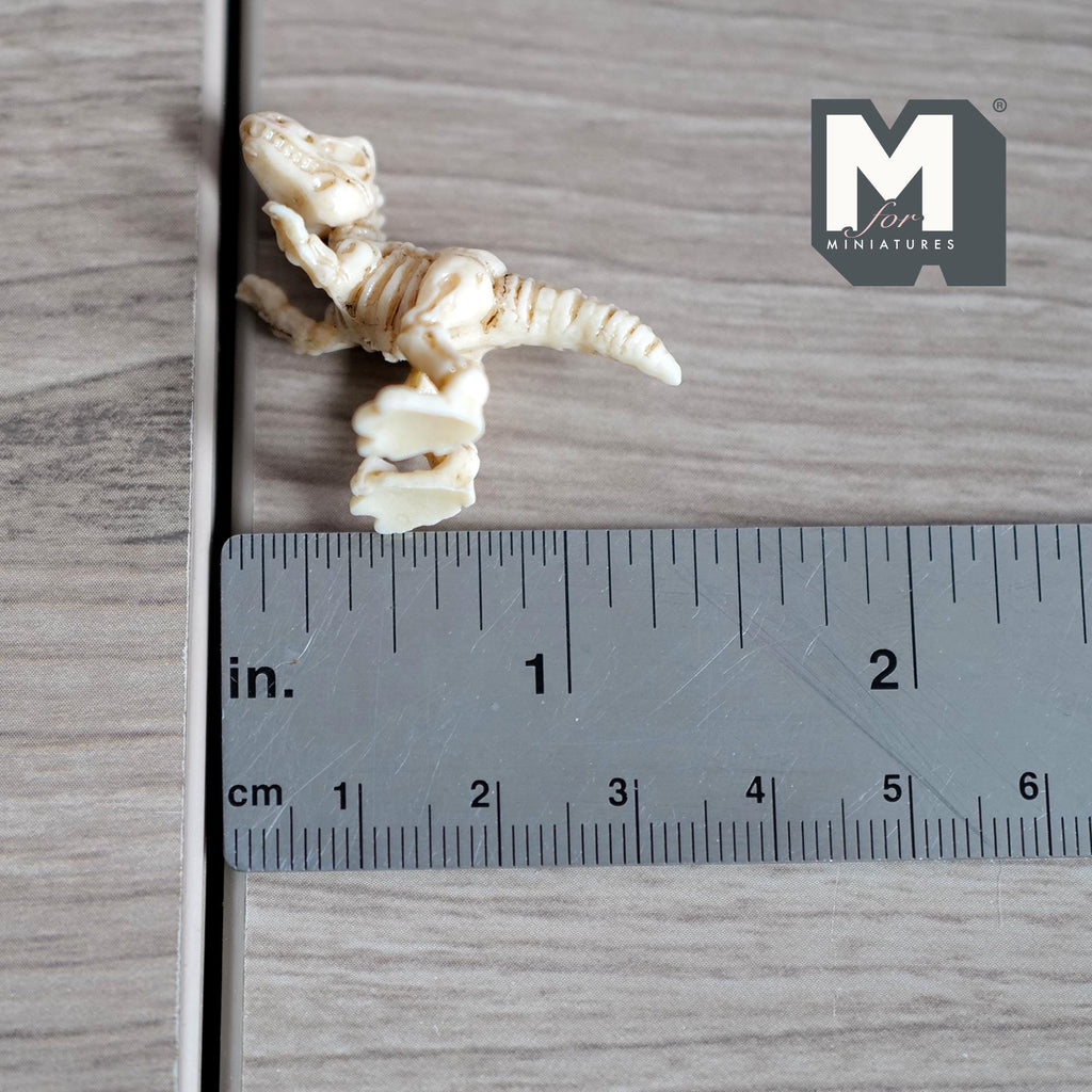 1:12 Scale Upright Miniature T-Rex Skeleton | Dollhouse Dinosaur Toy | Museum Diorama Fossil Accessory 1-1/8 inch tall - B021