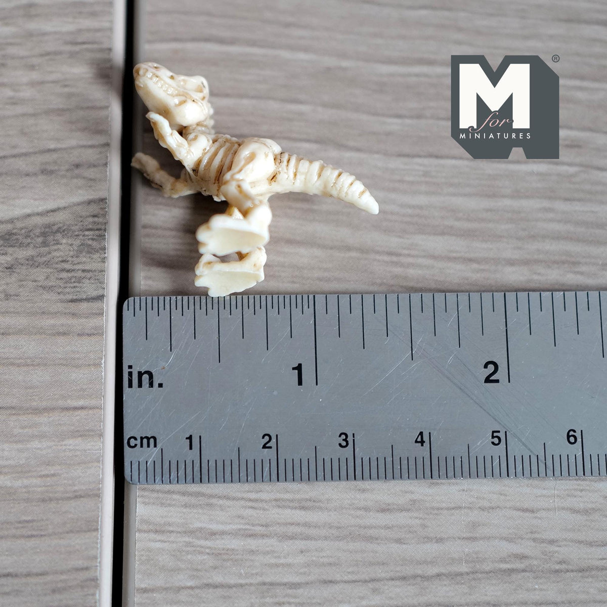 1:12 Scale Upright Miniature T-Rex Skeleton | Dollhouse Dinosaur Toy | Museum Diorama Fossil Accessory 1-1/8 inch tall - B021