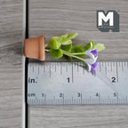 Miniature Clay Purple Campanula  1:12 Scale Miniature Potted Flowers Dollhouse Potted Flowers Miniature Flowers 1-13/16 inch tall - H032