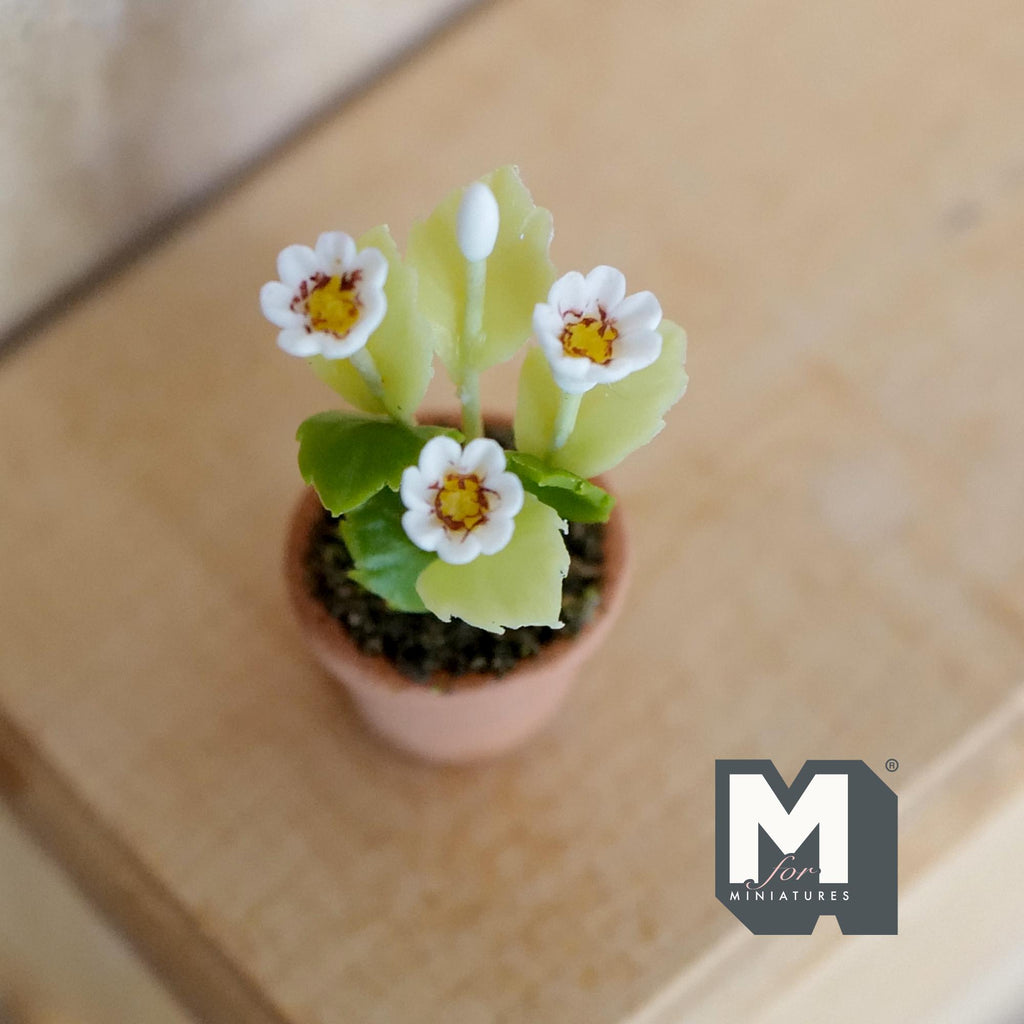Miniature Clay Planter Pot White Flowers 1:12 Scale Potted Flowers Dollhouse Potted Flowers Mini Flower Pot 1-5/16 inch tall - H032