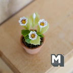 Miniature Clay Planter Pot White Flowers 1:12 Scale Potted Flowers Dollhouse Potted Flowers Mini Flower Pot 1-5/16 inch tall - H032