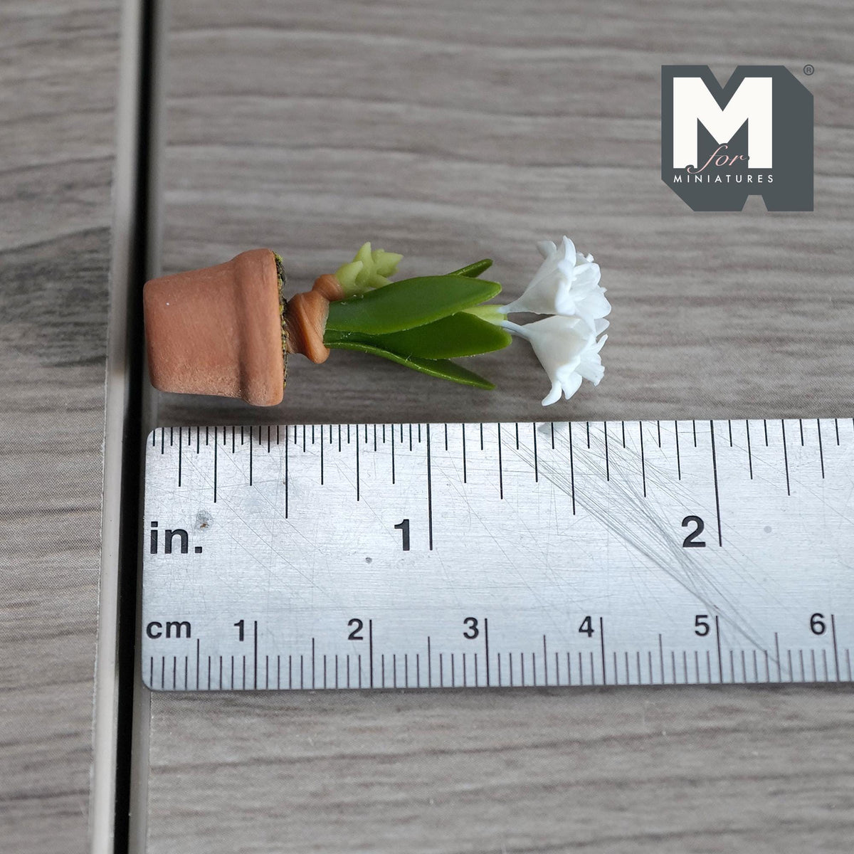 Miniature Clay Planter White Tuberose 1:12 Scale Miniature Potted Flowers , Dollhouse Potted Flowers 1-5/8 inch tall - H031