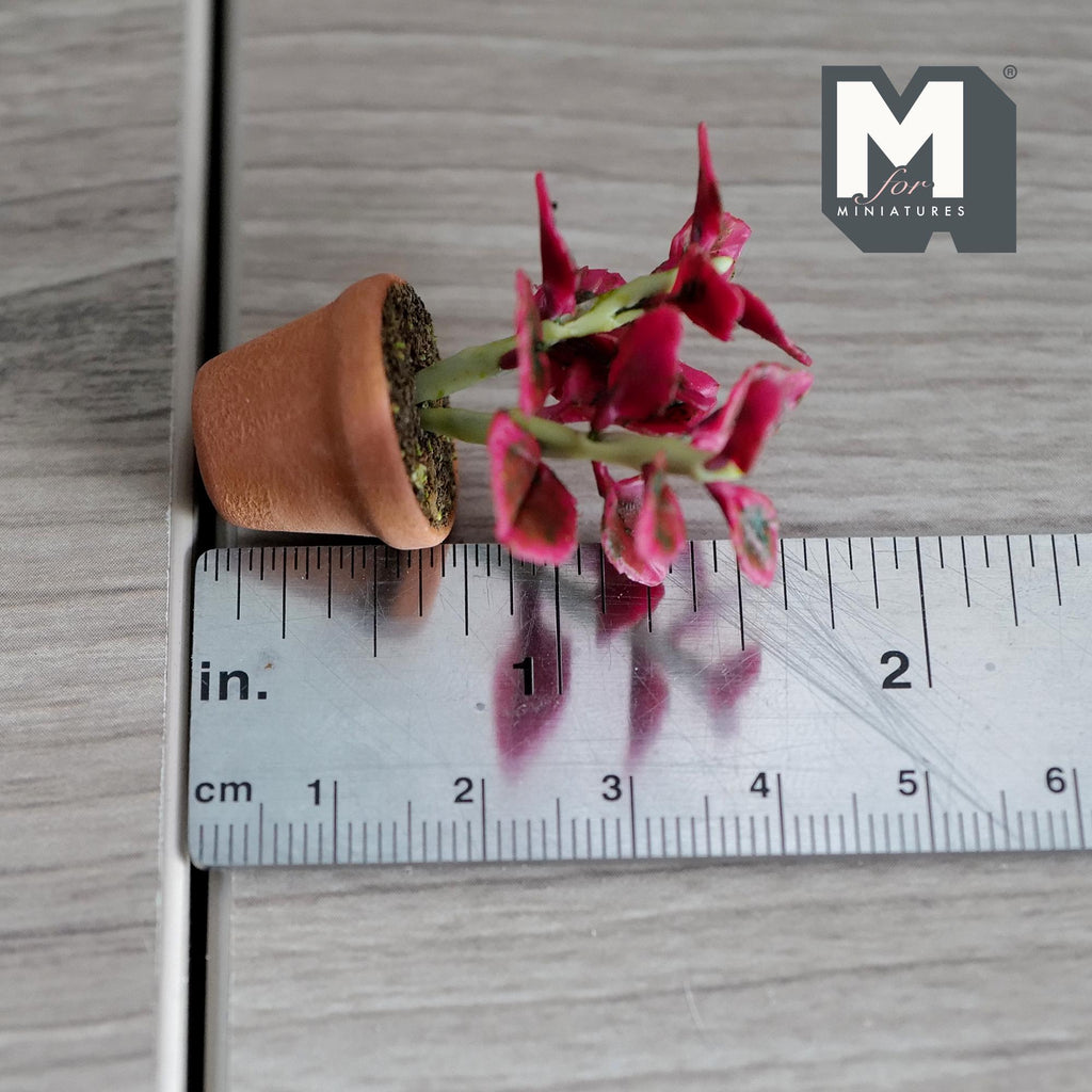 Miniature Clay Planter Red Tipped Leaves 1:12 Scale Miniature Potted Flowers Dollhouse Potted Flowers 1-5/8 inch tall - H030