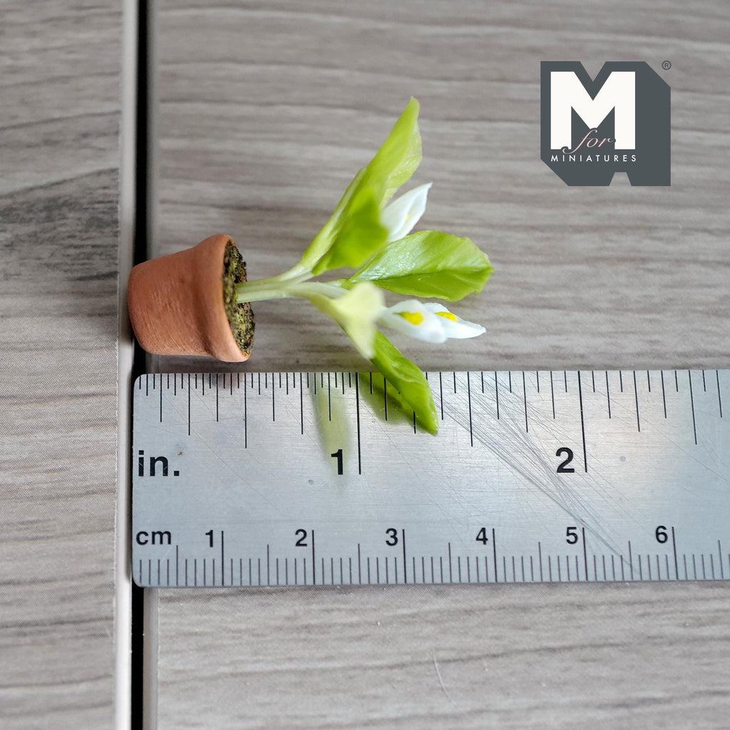 Miniature Clay Planter White Calla Lily 1:12 Scale Miniature Potted Flowers,Dollhouse Potted Flowers Miniature Flowers 1-1/2 inch tall- H031