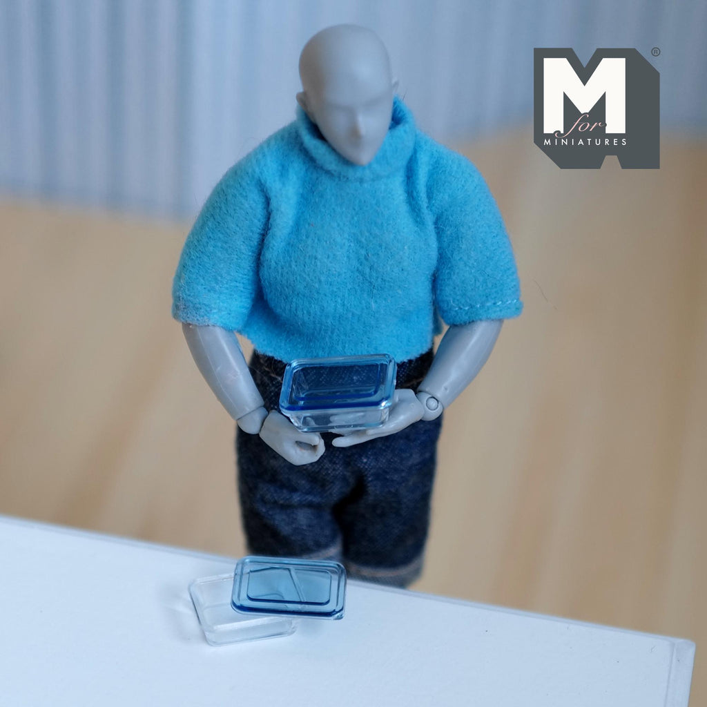 Miniature Food Container Box Set of 2  , 1:12 Scale Dollhouse Lunch Box with Lid 11/16 inch long (blue) - H016