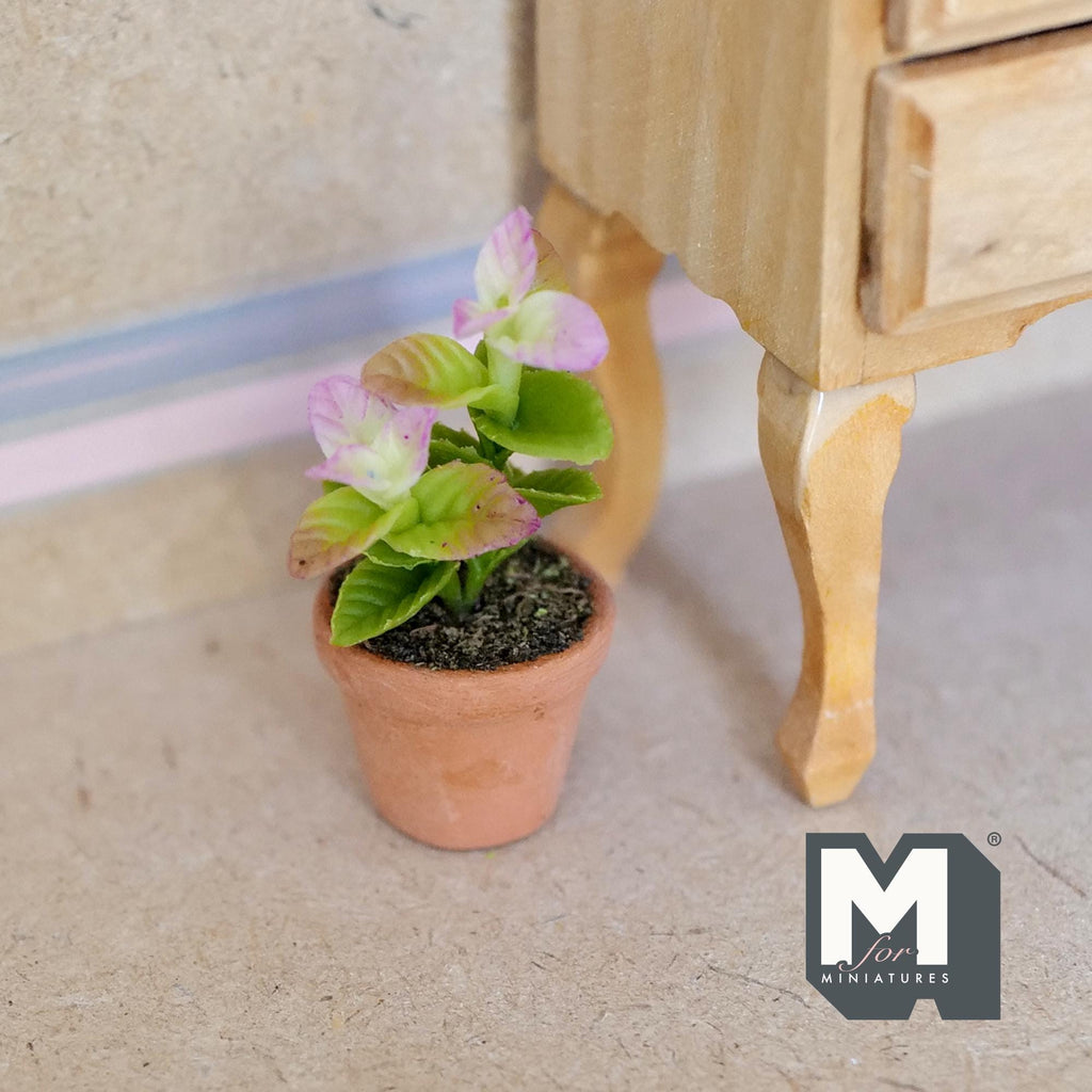 Miniature Clay Planter Snow Bush 1:12 Scale Miniature Potted Flowers , Dollhouse Potted Flowers Miniature Flowers - H030