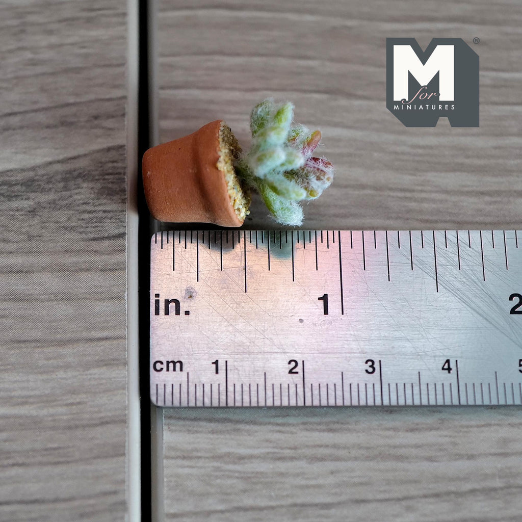Miniature Clay Cactus Planter Pot 1:12 Scale Miniature Potted Flowers , Dollhouse Potted Flowers Miniature Flowers 15/16 inch tall - H033