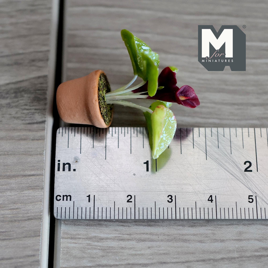 Miniature Clay Calla Lily,  1:12 Scale Miniature Calla Lily,  Dollhouse Potted Flowers Miniature Flowers 1-7/16 inch tall - H031