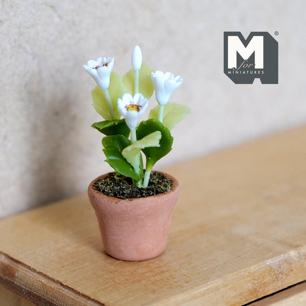 Miniature Clay Planter Pot White Flowers 1:12 Scale Potted Flowers Dollhouse Potted Flowers Mini Flower Pot 1-5/16 inch tall - H032