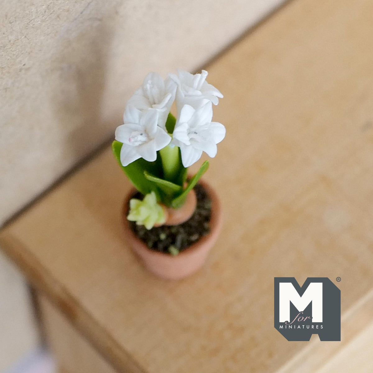 Miniature Clay Planter White Tuberose 1:12 Scale Miniature Potted Flowers , Dollhouse Potted Flowers 1-5/8 inch tall - H031