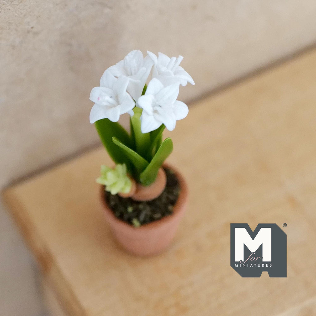 Miniature Clay Planter White Tuberose 1:12 Scale Miniature Potted Flowers , Dollhouse Potted Flowers 1-5/8 inch tall - H031