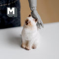 Miniature Sitting Cat Closed Eyes 1:12 Scale Sitting Cat 1-1/8 inch tall - B044