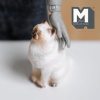 Miniature Sitting Cat Closed Eyes 1:12 Scale Sitting Cat 1-1/8 inch tall - B044