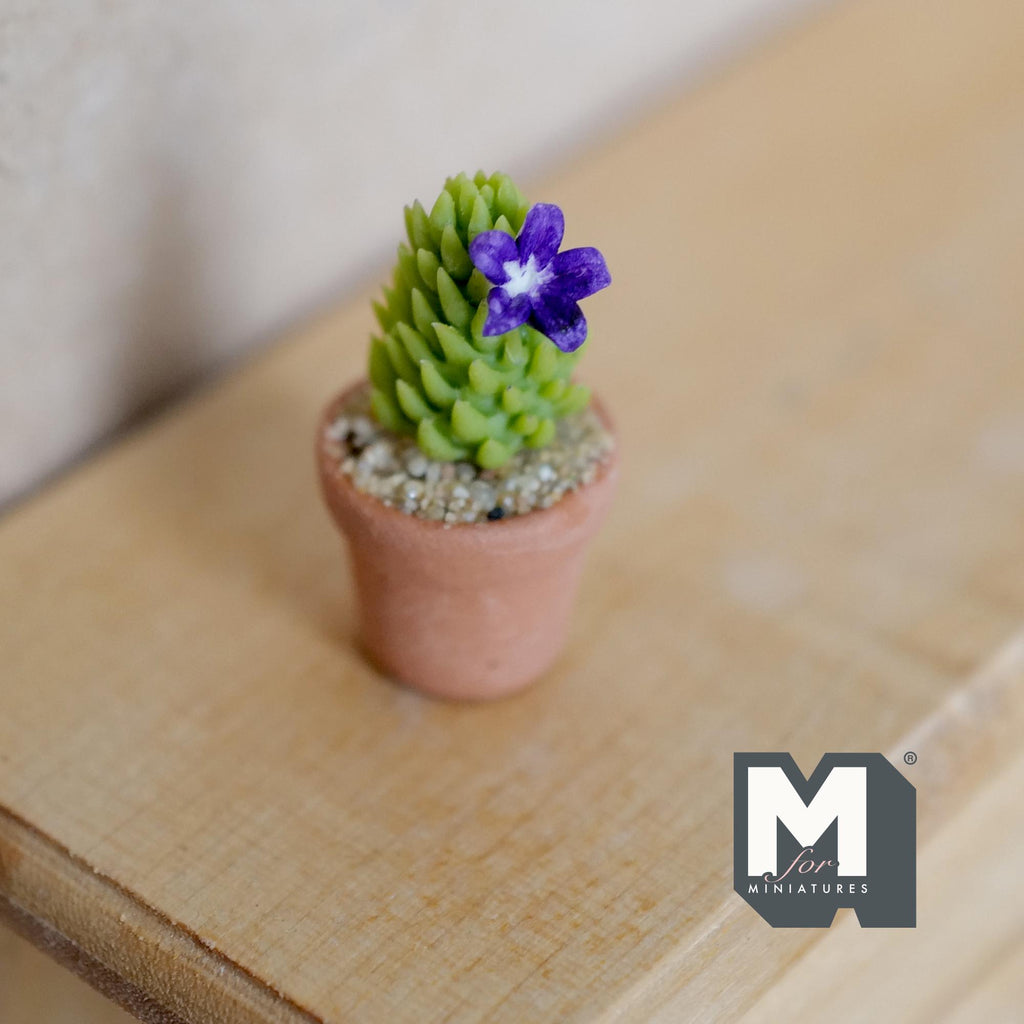Miniature Cactus in Round Clay Pot 1:12 Scale Dollhouse Garden Purple Flowers Cactus 1 inch tall - H033