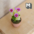 Miniature Clay Planter Pot Pink Primula Primrose 1:12 Scale Dollhouse Fairy Garden Potted Flowers 1-7/16 inch tall - H032