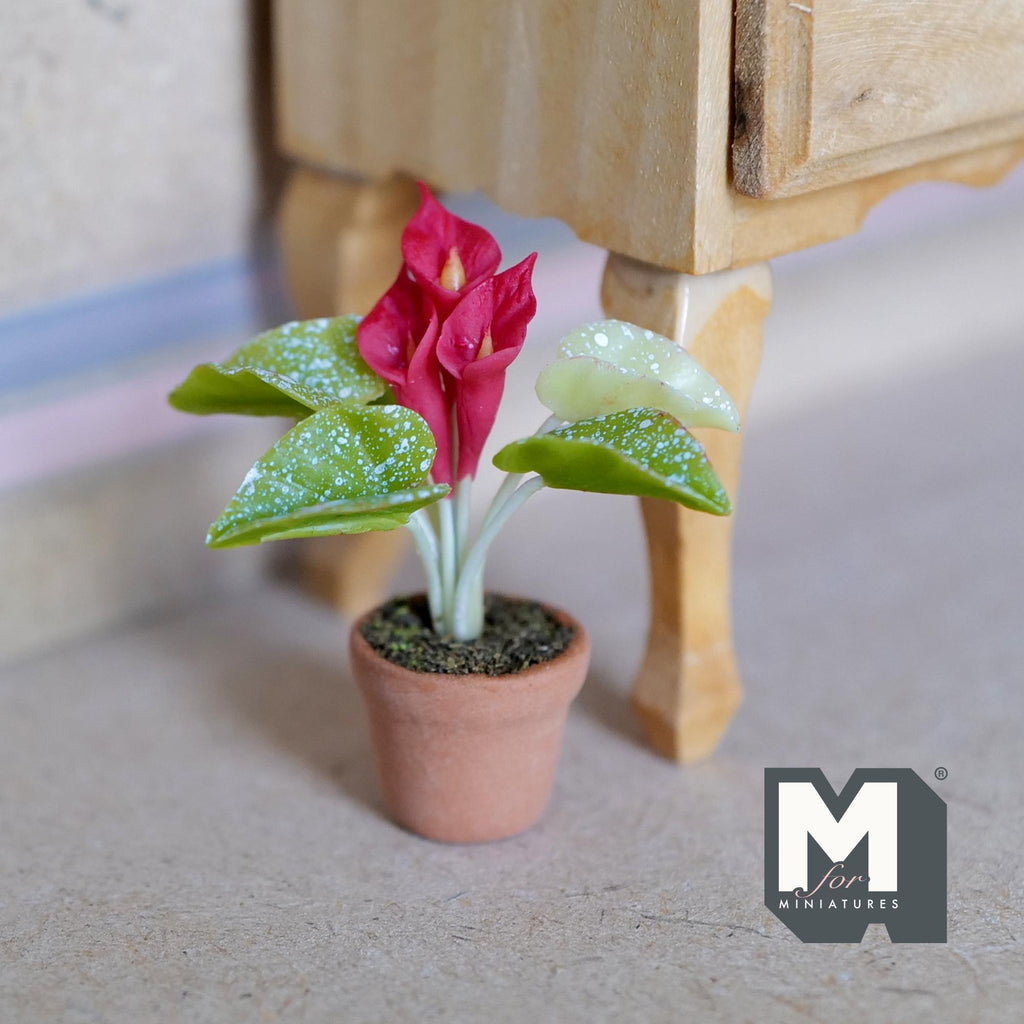 Miniature Clay Planter Red Calla Lily 1:12 Scale Miniature Potted Flowers Dollhouse Potted Flowers Miniature Flowers 1-7/16 inch tall - H031