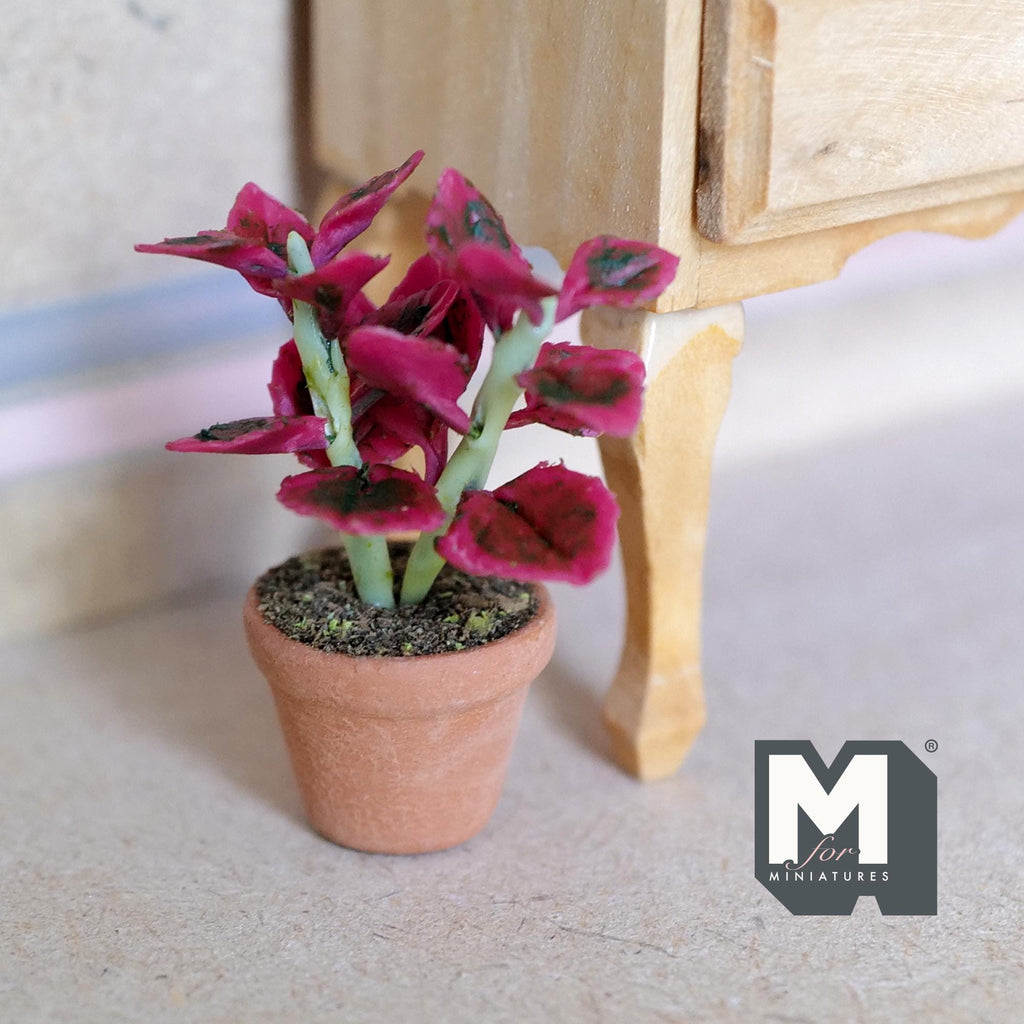 Miniature Clay Planter Red Tipped Leaves 1:12 Scale Miniature Potted Flowers Dollhouse Potted Flowers 1-5/8 inch tall - H030